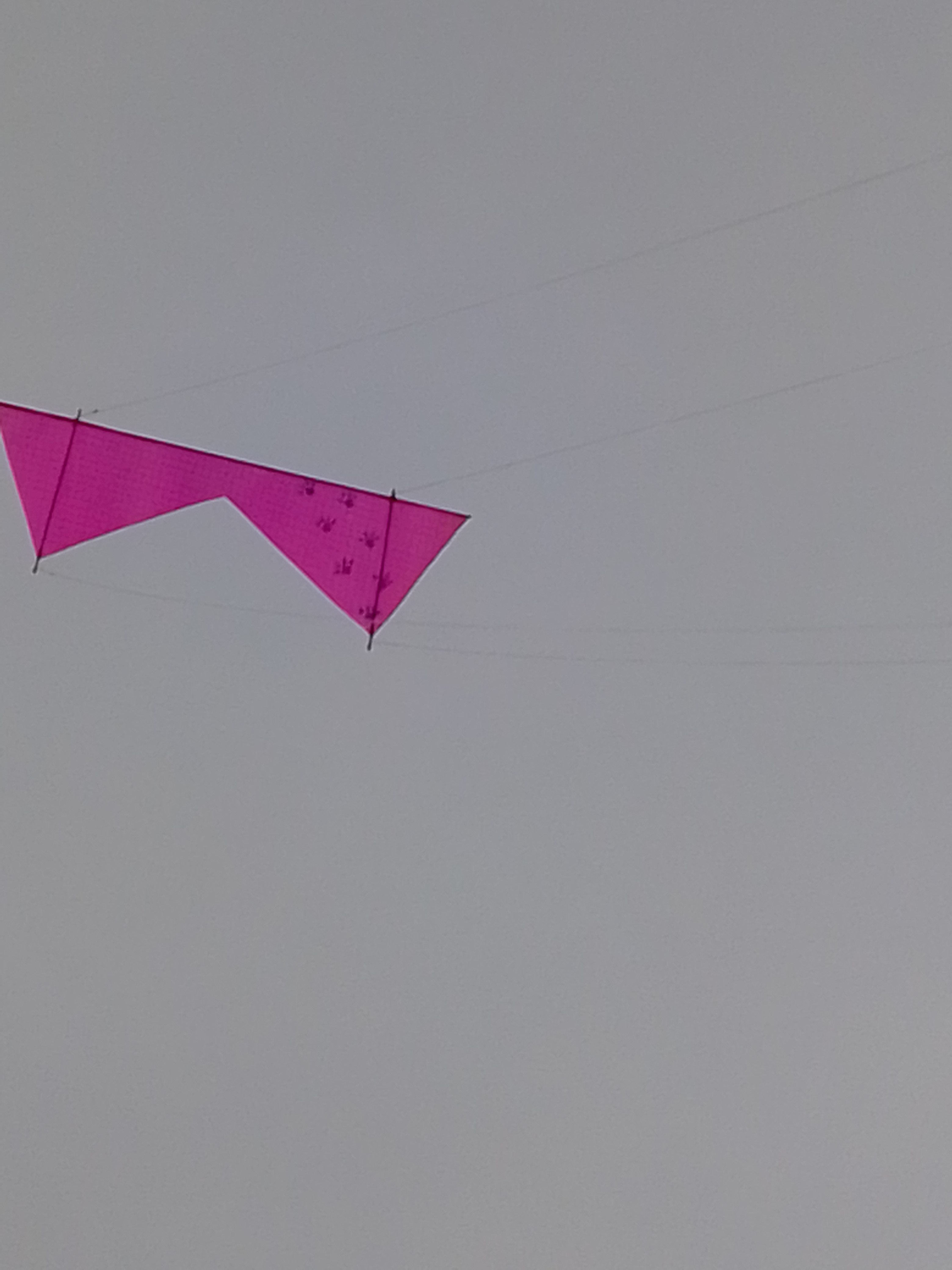 fliegender Rev [(BxH) 230 x 75 mm]